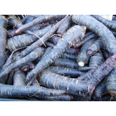 Экстракт чёрной моркови: 